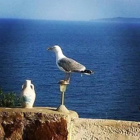 Sarandos Guest house Ammouliani